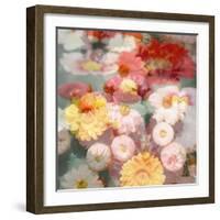 Composing with Coloured Blossoms-Alaya Gadeh-Framed Photographic Print