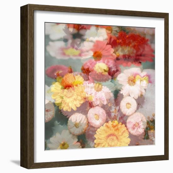 Composing with Coloured Blossoms-Alaya Gadeh-Framed Photographic Print