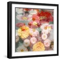 Composing with Coloured Blossoms-Alaya Gadeh-Framed Photographic Print