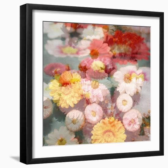 Composing with Coloured Blossoms-Alaya Gadeh-Framed Photographic Print