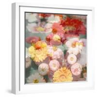 Composing with Coloured Blossoms-Alaya Gadeh-Framed Photographic Print