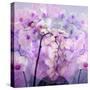 Composing with Pink Peonies and White Orchids-Alaya Gadeh-Stretched Canvas
