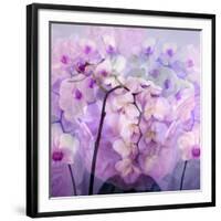 Composing with Pink Peonies and White Orchids-Alaya Gadeh-Framed Photographic Print