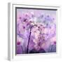 Composing with Pink Peonies and White Orchids-Alaya Gadeh-Framed Photographic Print