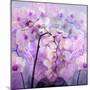 Composing with Pink Peonies and White Orchids-Alaya Gadeh-Mounted Photographic Print