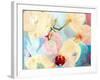 Composing with White and Pink Blossoms Infront of Blue Background-Alaya Gadeh-Framed Photographic Print