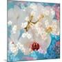 Composing with White and Pink Blossoms Infront of Blue Background-Alaya Gadeh-Mounted Photographic Print