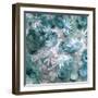 Composing with White Blossoms and Mussels-Alaya Gadeh-Framed Photographic Print