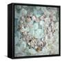 Composing with White Blossoms and Mussels-Alaya Gadeh-Framed Stretched Canvas