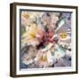 Composing with White Blossoms-Alaya Gadeh-Framed Photographic Print