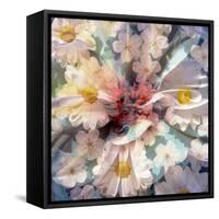 Composing with White Blossoms-Alaya Gadeh-Framed Stretched Canvas