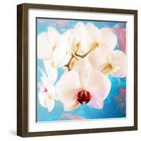 Composing with White Orchid Blossoms Infront of Blue Background-Alaya Gadeh-Framed Photographic Print