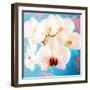 Composing with White Orchid Blossoms Infront of Blue Background-Alaya Gadeh-Framed Photographic Print