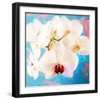 Composing with White Orchid Blossoms Infront of Blue Background-Alaya Gadeh-Framed Photographic Print