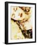 Composing, Woman with Flowers Is Dreaming in the Bright Sunlight-Alaya Gadeh-Framed Photographic Print