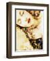 Composing, Woman with Flowers Is Dreaming in the Bright Sunlight-Alaya Gadeh-Framed Photographic Print