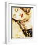 Composing, Woman with Flowers Is Dreaming in the Bright Sunlight-Alaya Gadeh-Framed Photographic Print