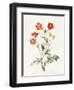 Composite, 1827-Louise D'Orleans-Framed Giclee Print