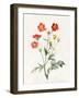 Composite, 1827-Louise D'Orleans-Framed Giclee Print