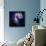 Composite Image of Antennae Galaxies - Interstellar Gas with Elements from Supernova Explosions-null-Stretched Canvas displayed on a wall