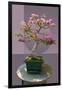 Composite image of Japanese bonsai tree in front of a geometric Asian pattern-null-Framed Photographic Print