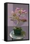 Composite image of Japanese bonsai tree in front of a geometric Asian pattern-null-Framed Stretched Canvas