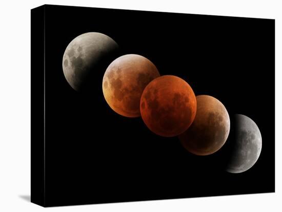 Composite Image of Lunar Eclipse-null-Stretched Canvas