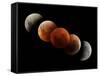 Composite Image of Lunar Eclipse-null-Framed Stretched Canvas