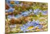 Composite Image of Oxeye Daisy and Texture, Louisville, Kentucky-Adam Jones-Mounted Photographic Print