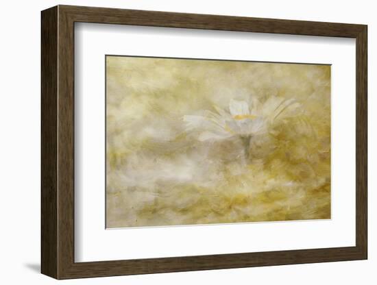 Composite Image of Oxeye Daisy and Texture, Louisville, Kentucky-Adam Jones-Framed Photographic Print