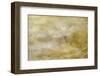 Composite Image of Oxeye Daisy and Texture, Louisville, Kentucky-Adam Jones-Framed Photographic Print