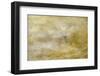 Composite Image of Oxeye Daisy and Texture, Louisville, Kentucky-Adam Jones-Framed Photographic Print