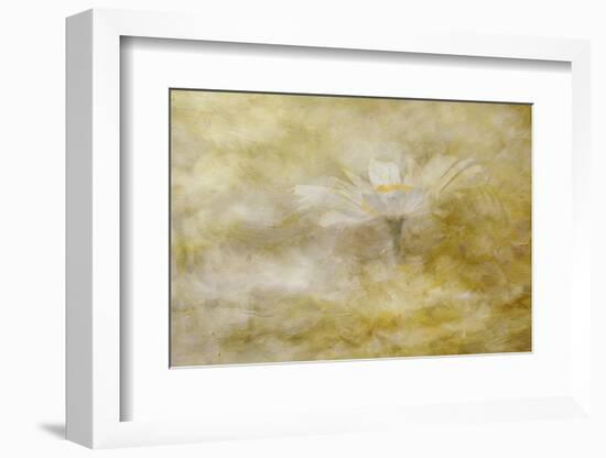 Composite Image of Oxeye Daisy and Texture, Louisville, Kentucky-Adam Jones-Framed Photographic Print