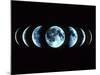 Composite Image of the Phases of the Moon-Dr. Fred Espenak-Mounted Photographic Print