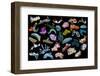 Composite image of tropical nudibranchs, Indo-Pacific-Georgette Douwma-Framed Photographic Print