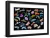 Composite image of tropical nudibranchs, Indo-Pacific-Georgette Douwma-Framed Photographic Print