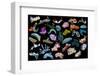 Composite image of tropical nudibranchs, Indo-Pacific-Georgette Douwma-Framed Photographic Print