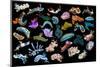Composite image of tropical nudibranchs, Indo-Pacific-Georgette Douwma-Mounted Photographic Print