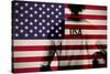 Composite Image of Usa Football Player Holding Ball against Usa National Flag-Wavebreak Media Ltd-Stretched Canvas