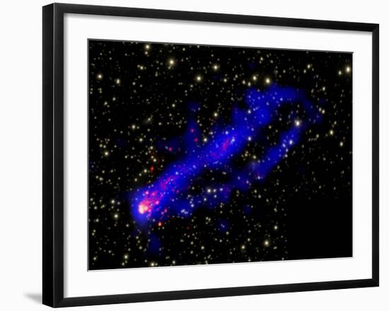 Composite Image, Two Tails Stretching Behind a Galaxy as it Travels Through a Galaxy Cluster-null-Framed Photographic Print