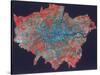 Composite Landsat False Colour Image of Greater London, 1979-null-Stretched Canvas