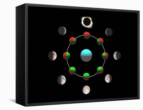 Composite Time-lapse Image of the Lunar Phases-John Sanford-Framed Stretched Canvas