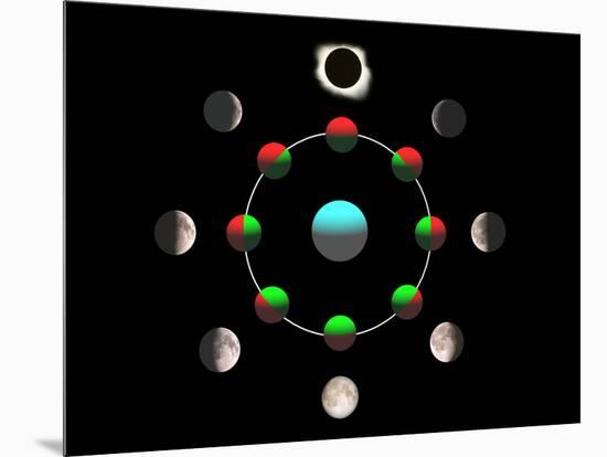 Composite Time-lapse Image of the Lunar Phases-John Sanford-Mounted Photographic Print