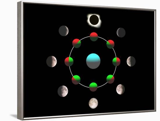 Composite Time-lapse Image of the Lunar Phases-John Sanford-Framed Photographic Print