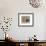 Composition 1956-Giorgio Morandi-Framed Art Print displayed on a wall