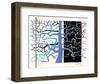 Composition II-Jean-Pierre Stholl-Framed Limited Edition