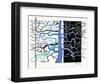 Composition II-Jean-Pierre Stholl-Framed Limited Edition