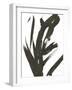 Composition in Black and White 11-Emma Jones-Framed Giclee Print