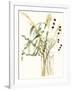 Composition in Vase I-Jennifer Goldberger-Framed Art Print