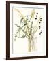 Composition in Vase I-Jennifer Goldberger-Framed Art Print